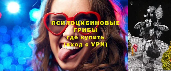 не бодяженный Алексин