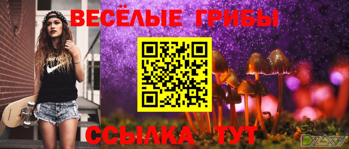 Галлюциногенные грибы ЛСД Санкт-Петербург