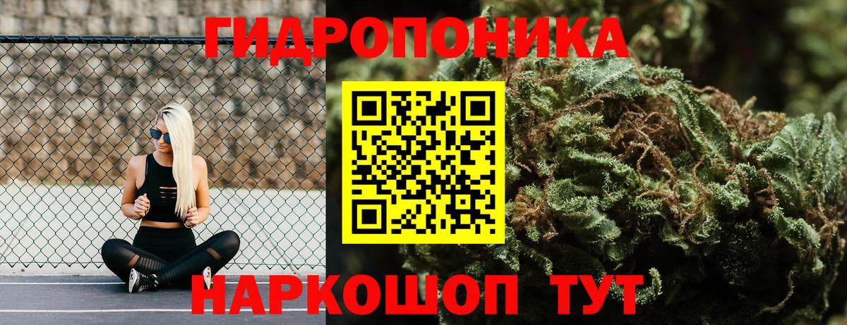 Конопля сатива Санкт-Петербург